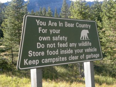 Bear sign board