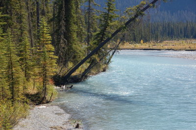 Kootenay River