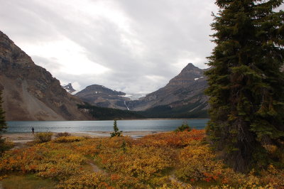 Bow Lake