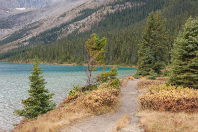 Bow Lake