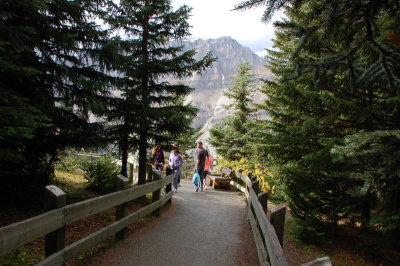 Lake Peyto