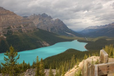 Lake Peyto