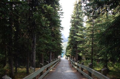 to Lake Peyto