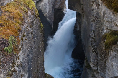 Maligne Canyon