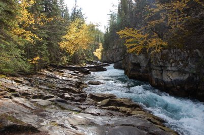 Maligne Canyon