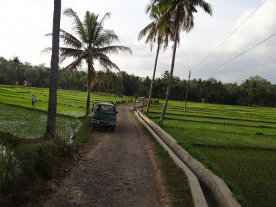 jalan desa