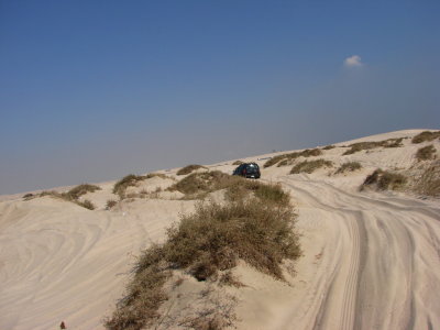 Sand Dune Safari, Qatar
