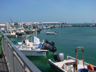 Doha Harbour