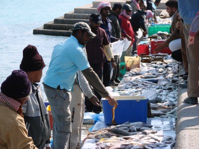 Harbour Fish Market