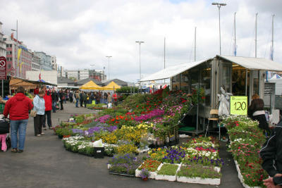 Flower Market