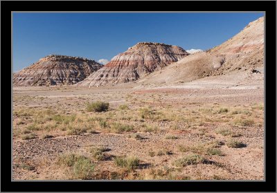 Painted Desert Appearance