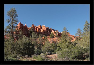 Red Canyon #13