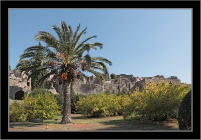 Looking Back to Pompeii
