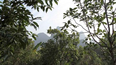 IMG_4047.jpg
