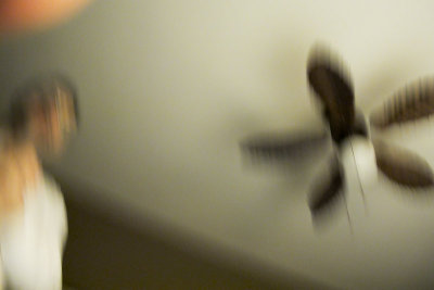 IMG_4290.jpg
