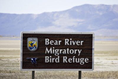 Bear River NWR