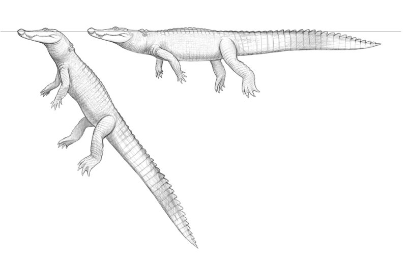 fig 4_12_lo_res.jpg
