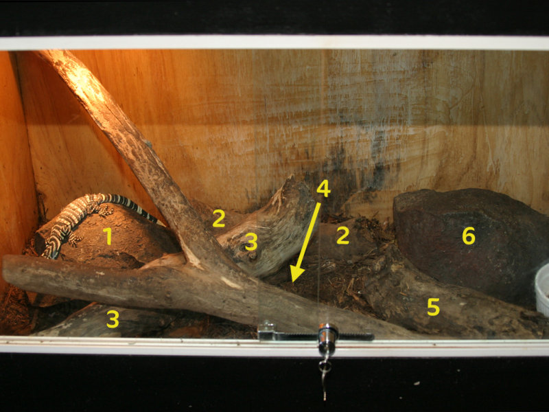 juvie tank hides 6.jpg