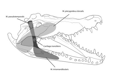 three quarter view.jpg
