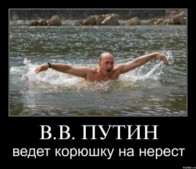 g4/76/531276/3/145901949.5UTal8Wb.jpg