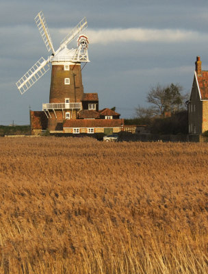 unsorted Norfolk images Jan 2008