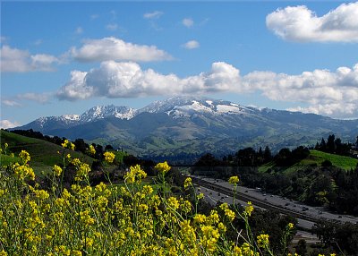 Mt. Diablo