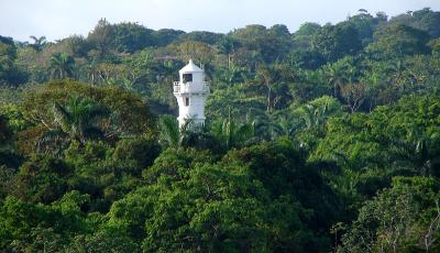 Lighthouse in the trees