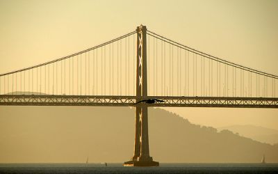 Oakland-Bay Bridge with Pelican