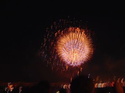 Fireworks Three
