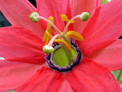 Closer view