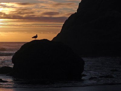 Sunset Rocks
