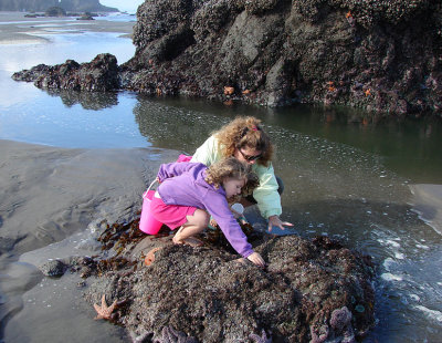 Hope and Mama checking out starfish