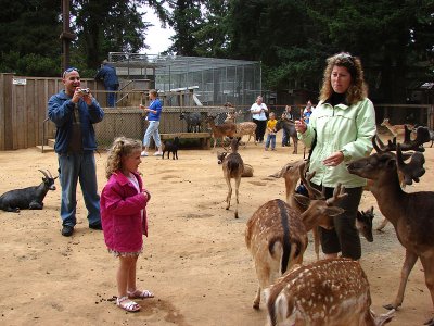 AJ, Hope, Kari and deer