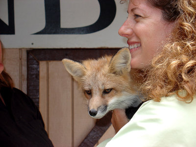 Red Fox and Kari