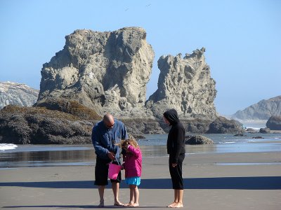 Checking out the shells