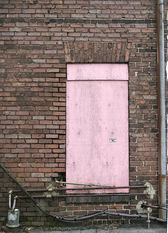 pinkY.jpg