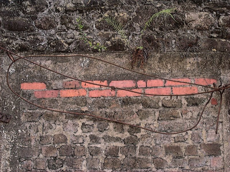 redRows.jpg