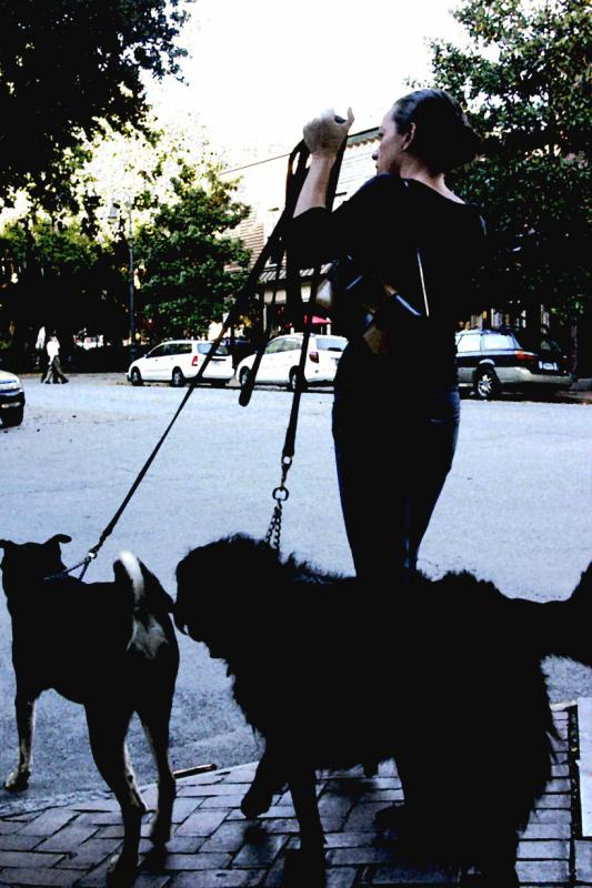 walkDdogz