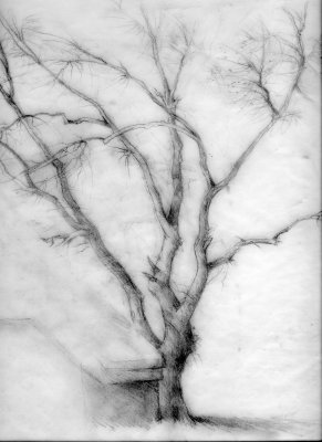 BR_021a.jpg
