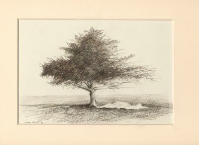 N03_SB_02 sketch_01.jpg
