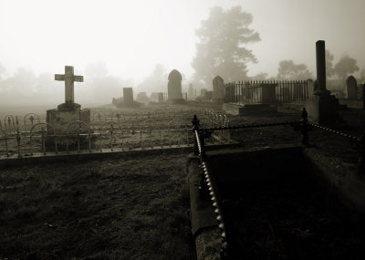 Graveyard fog #5