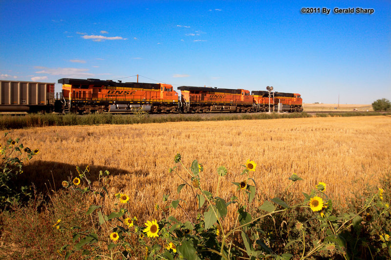 bnsf9260_east_near_keensburg.jpg