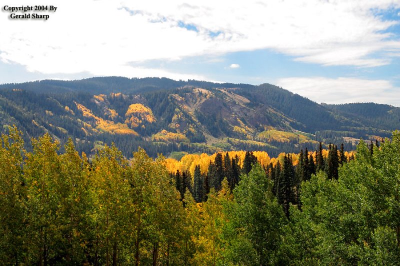 Aspens-3.jpg