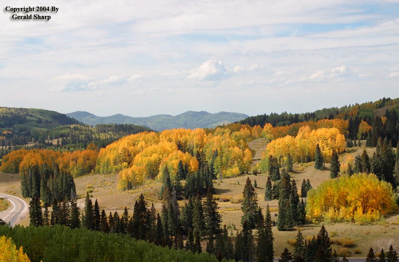 Aspens-4.jpg
