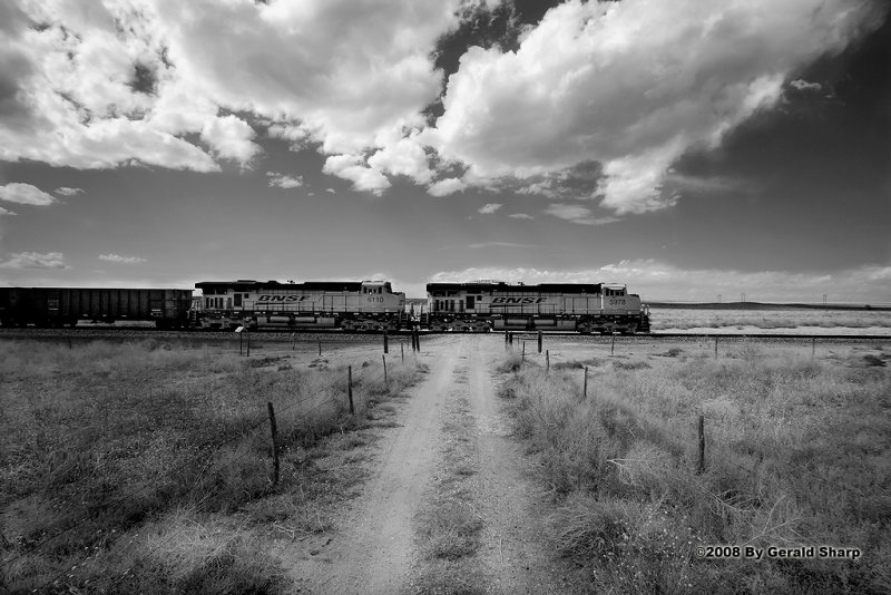 BNSF 5978 East At Old Tampa, CO