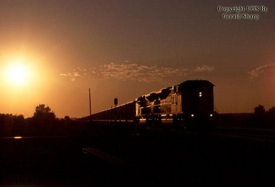 up_sunset_at_northport.jpg