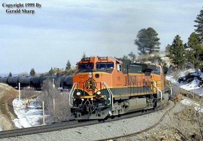 bnsf1019_at_bluemtn_xing.jpg