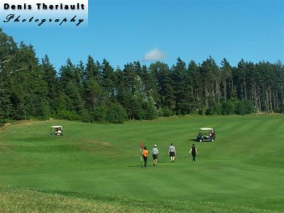 People playing golf