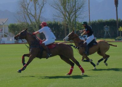Polo in Indio