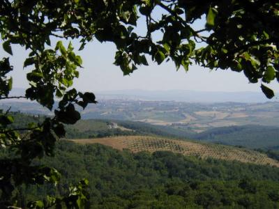 View of Siena from Villa Lodoline